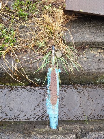 高島市朽木市場197坪土地