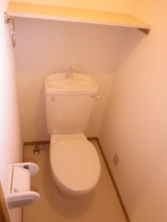 セントポーリアのトイレ|落ち着いた色調のトイレです