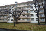 高洲第二団地の画像