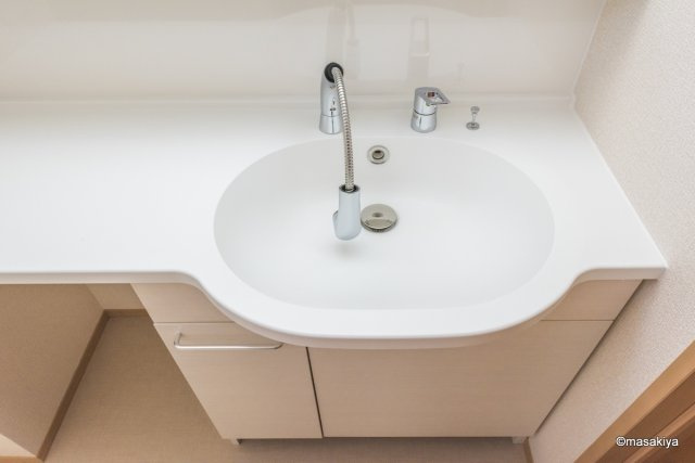 セジュール中越の洗面所