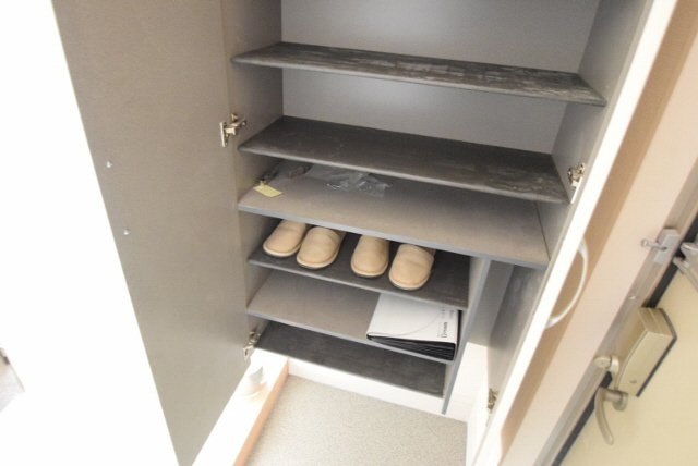 Pleione(プレオネ）の玄関|大容量のシューズボックス