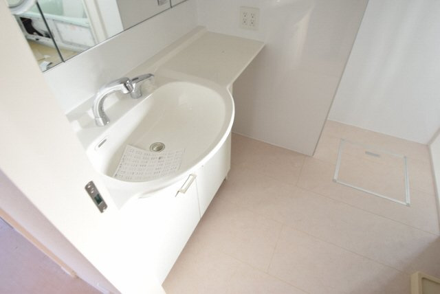 Pleione(プレオネ）の洗面所|おおきな洗面台