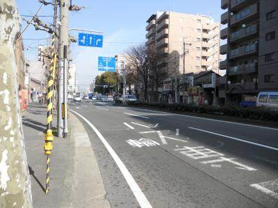 ステラ・ランドの周辺|前面道路
