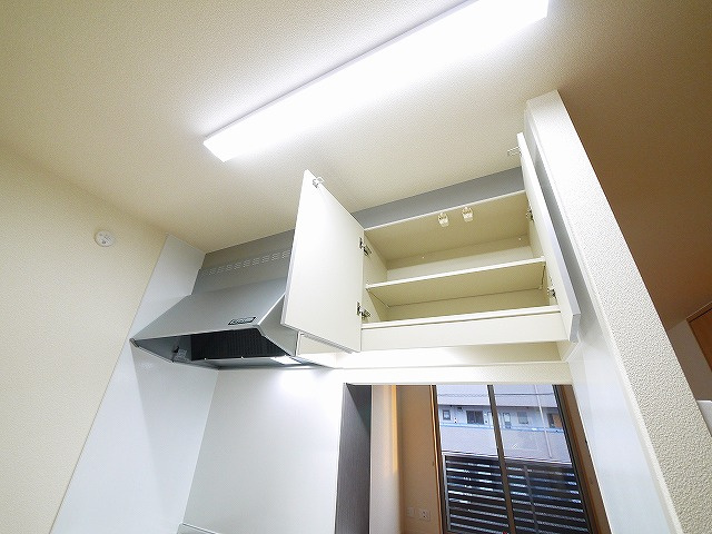 シャーメゾン石見の収納|こまごましたものも収納できます