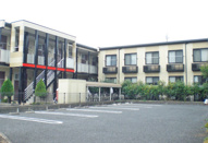 Primroseの画像