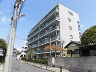 プレシアスムラタの画像