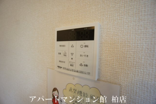 マノア・ロアのその他