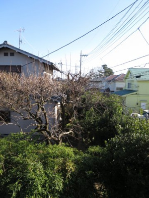 【展望】 | 祖師谷テラスハウス