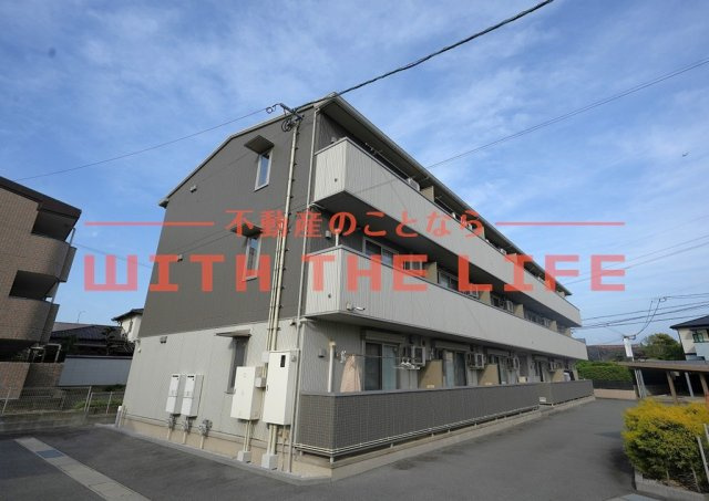 プリムローズ【キャッシュバック対象】