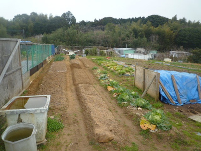 【外観】 | 大字貫（B-5）