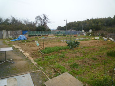 【外観】 | 大字貫（B-5）