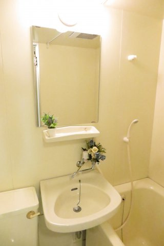ダイアパレス難波の洗面所