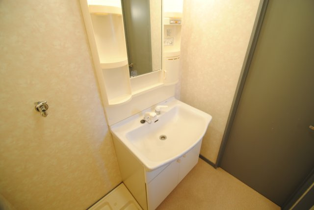 ブリランテ金丸小路の独立洗面台