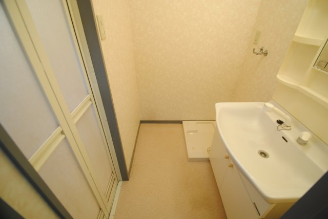 ブリランテ金丸小路の洗面所