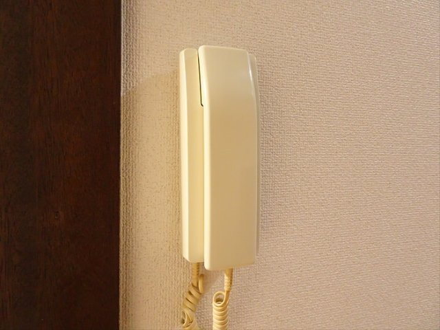 【セキュリティ】 | エリジアムドカフ