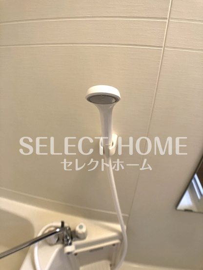  | アンプルールリーブル彩美
