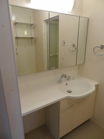 カーサアリエッタA・B・C　C棟の洗面所