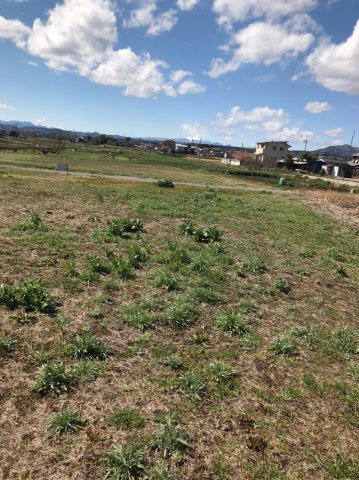 群馬県高崎市箕郷町生原 売地