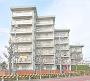 葛飾ビューハイツの画像