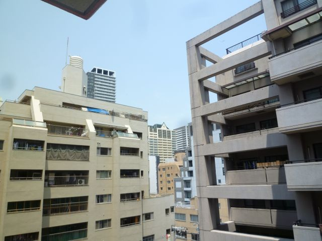 難波ロイヤルハイツＣタイプの展望