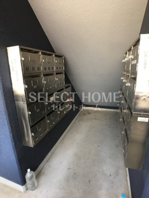  | コンフォールまきの