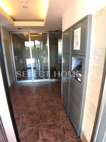  | ｐｏｇｇｉｏ　ａｌ　ｓｏｌｅ　ｔｒｅ