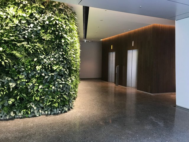 Tsao Hibiya（ツァオヒビヤ）のエントランス