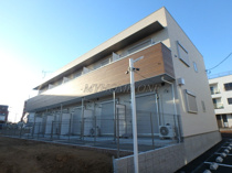 Adorable(アドラブール)樹の画像