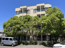 ロイヤルレゾンの画像