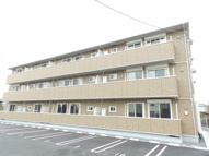 ベルヴィル　カメリアⅥの画像