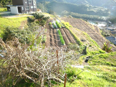 【外観】 | 鏡今井田畑