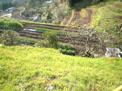 【外観】 | 鏡今井田畑