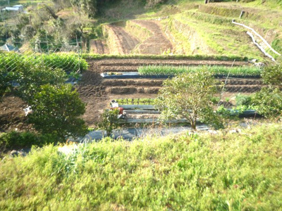 【外観】 | 鏡今井田畑