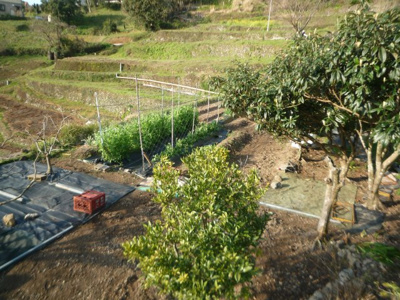 【外観】 | 鏡今井田畑