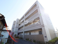 ベルデュール楓の画像