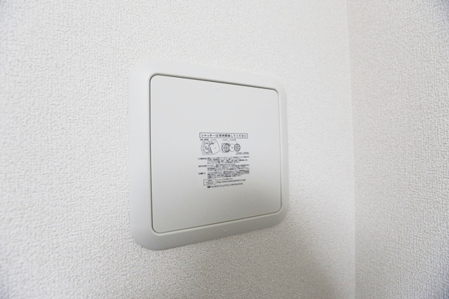 【その他】 | ＳＵＲＦ　ＩＳＬＡＮＤ　ＮＯＯＳＡ　ＨＥＡＤＳ