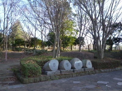 【周辺】 | プリメーロ | 若柴公園