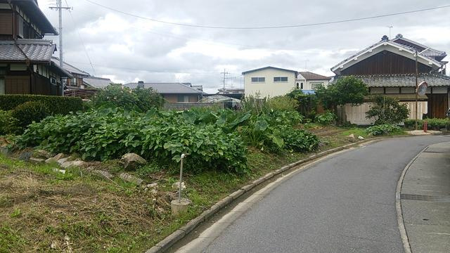 野洲市比留田　売土地の前面道路含む現地写真