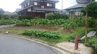 【前面道路含む現地写真】 | 野洲市比留田　売土地