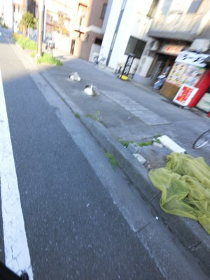 【周辺】 | アルカサール建昇 | 八丁畷駅徒歩5分の好立地。駅地下で悠々自適な生活を♪