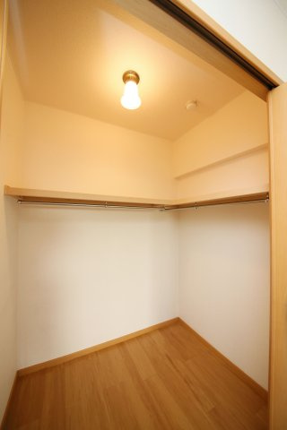 プラシードの収納