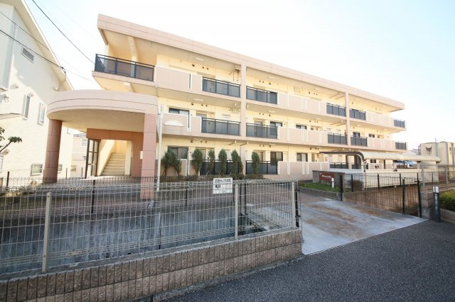 プラシードの外観