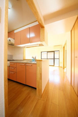 プラシードの内装