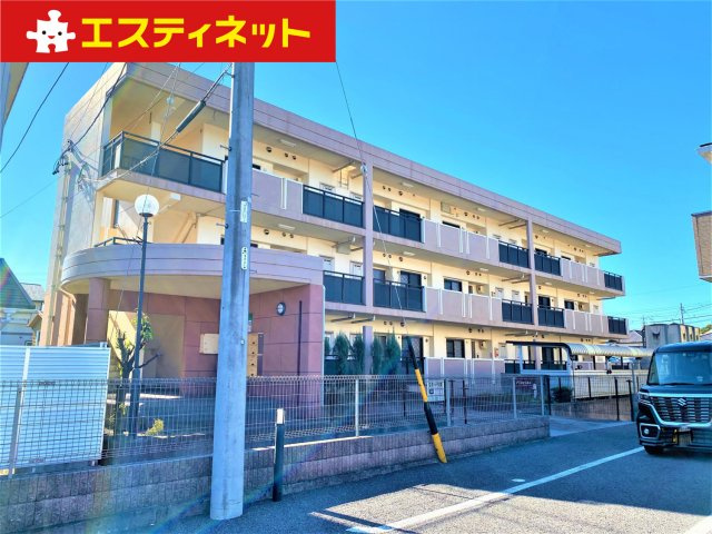プラシードの外観