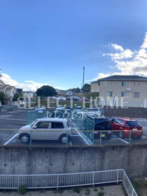 【展望】 | ハイネス香