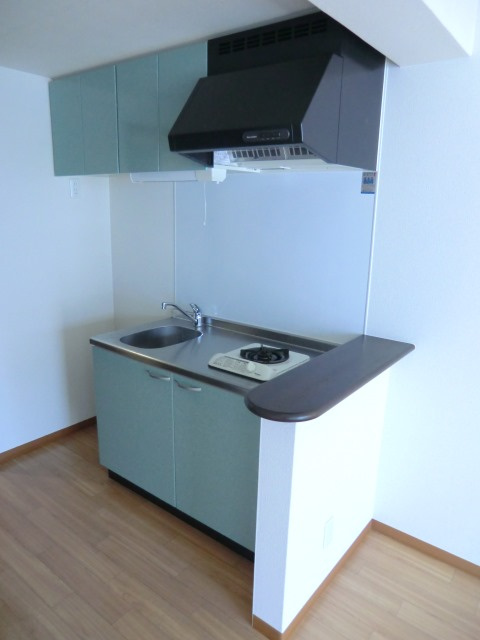 エクセレント上新15のキッチン