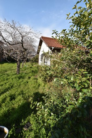 ５４６５３　揖斐郡池田町池野土地の外観