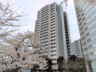 文京グリーンコートビュータワー本駒込Ｂ棟の画像