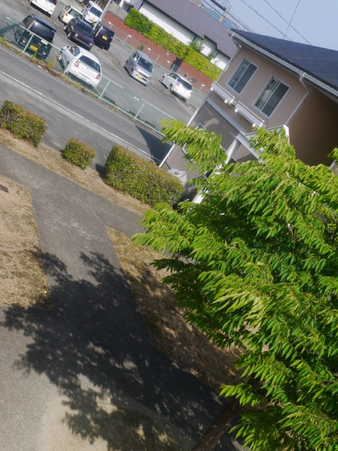 フレグランス南町【キャッシュバック対象物件】の駐車場