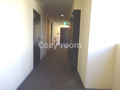 【その他共用部分】 | アスール江坂 | 共有廊下です